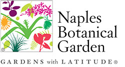 NBG_logo