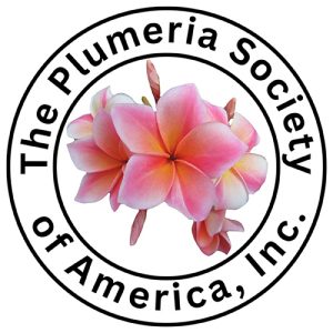 The Plumeria Society