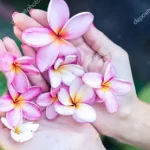 flower2